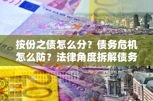 武汉按份之债怎么分？债务危机怎么防？法律角度拆解债务分配与风险自保指南