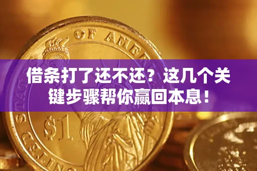 武汉借条打了还不还？这几个关键步骤帮你赢回本息！