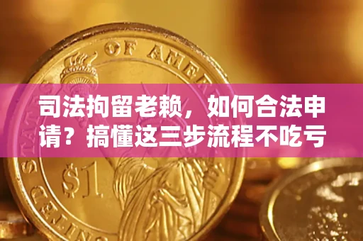武汉司法拘留老赖，如何合法申请？搞懂这三步流程不吃亏！