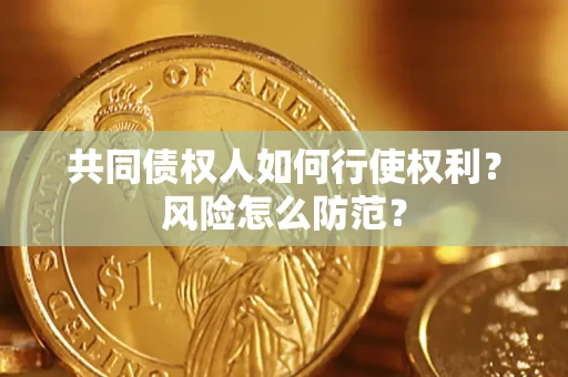武汉共同债权人如何行使权利？风险怎么防范？