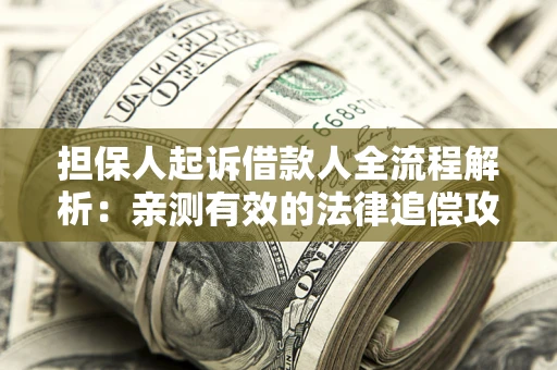 武汉担保人起诉借款人全流程解析：亲测有效的法律追偿攻略