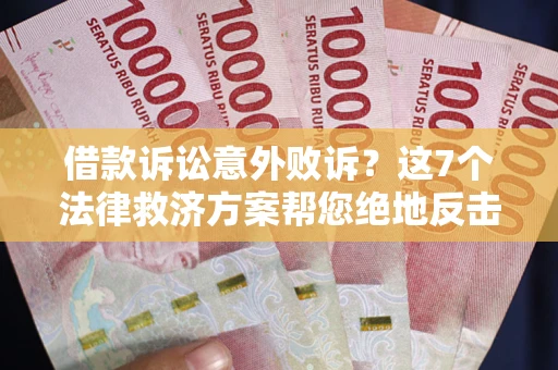 武汉借款诉讼意外败诉？这7个法律救济方案帮您绝地反击！