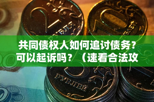 武汉共同债权人如何追讨债务？可以起诉吗？（速看合法攻略）
